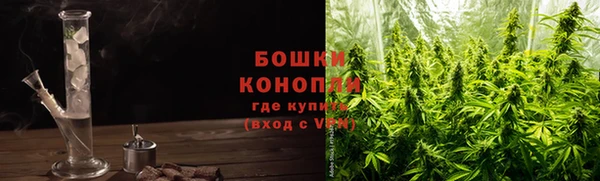 шишки Беломорск