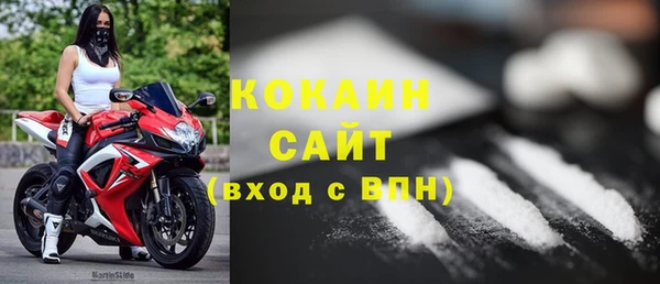 шишки Беломорск