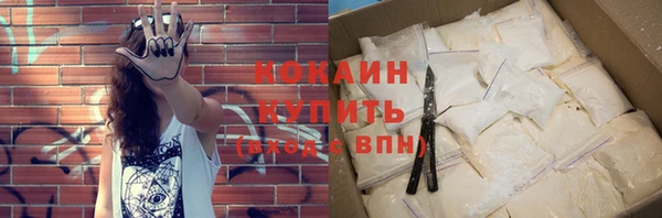 шишки Беломорск