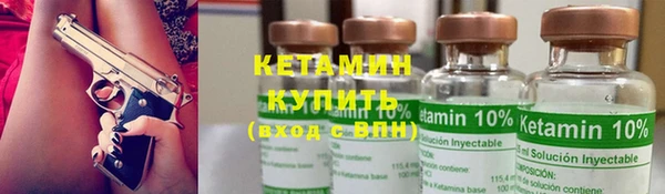 индика Богородицк
