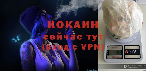 шишки Беломорск