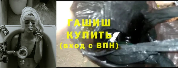 индика Богородицк