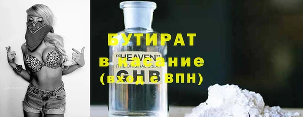 индика Богородицк