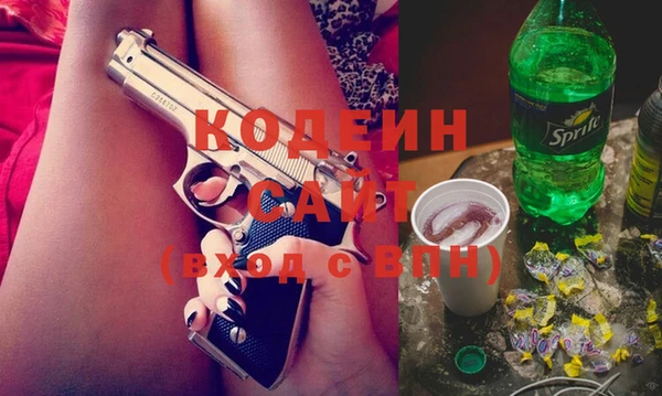 шишки Беломорск
