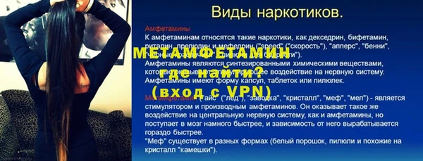 индика Богородицк