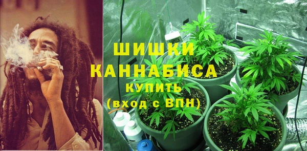 прущий лед Белокуриха